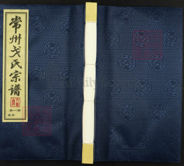 江苏省常州市武进县洛阳镇戈氏文新堂族谱-常州戈氏宗谱.pdf电子版插图