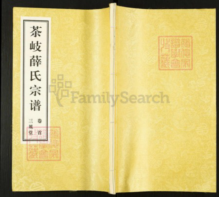 江苏省无锡市江阴市南闸街道薛氏三凤堂族谱-茶岐薛氏宗谱.pdf电子版插图