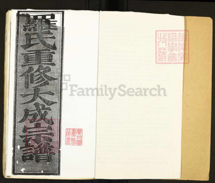 江西省南昌市罗氏北岸报本堂族谱-罗氏重修大成宗谱.pdf电子版插图2