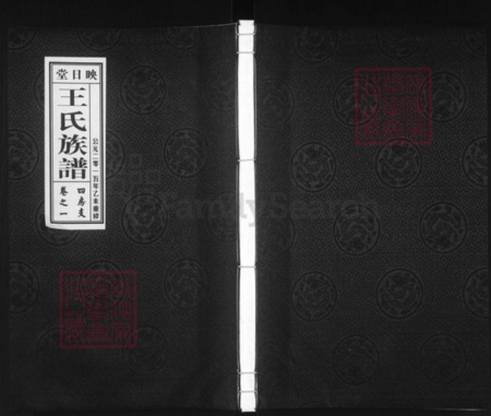 江苏省泰州市泰兴市高港王氏映日堂族谱-王氏族谱.pdf电子版插图