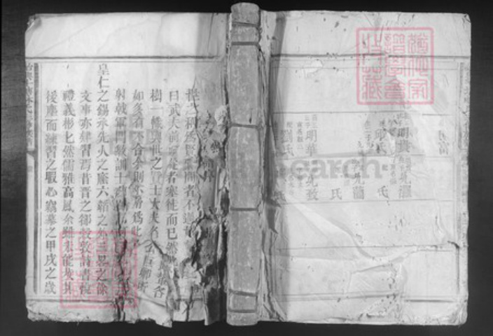 广东省韶关市始兴县顿岗镇林氏族谱-始兴斗塘林氏三修族谱.pdf电子版插图
