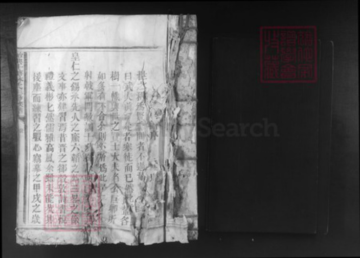 广东省韶关市始兴县顿岗镇林氏族谱-始兴斗塘林氏三修族谱.pdf电子版插图1