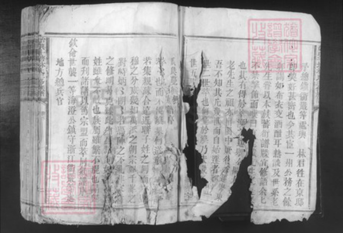 广东省韶关市始兴县顿岗镇林氏族谱-始兴斗塘林氏三修族谱.pdf电子版插图2