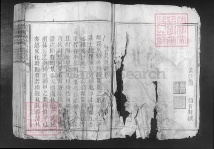 广东省韶关市始兴县顿岗镇林氏族谱-始兴斗塘林氏三修族谱.pdf电子版插图3