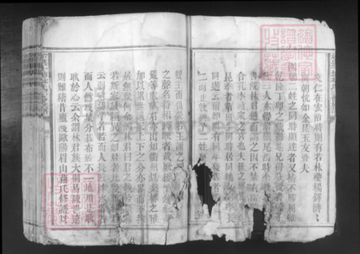 广东省韶关市始兴县顿岗镇林氏族谱-始兴斗塘林氏三修族谱.pdf电子版插图4