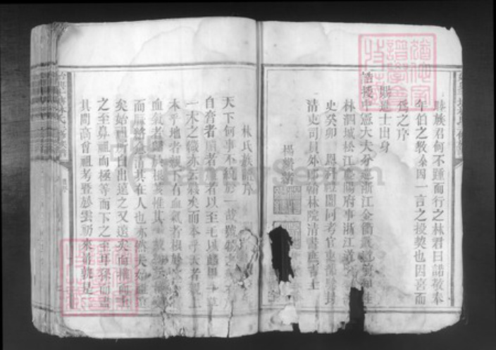 广东省韶关市始兴县顿岗镇林氏族谱-始兴斗塘林氏三修族谱.pdf电子版插图5
