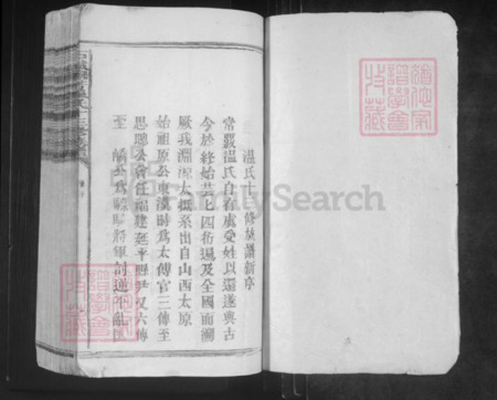 江西省赣州市石城县琴江镇温氏族谱-石城联芳温氏十三修族谱.pdf电子版插图1