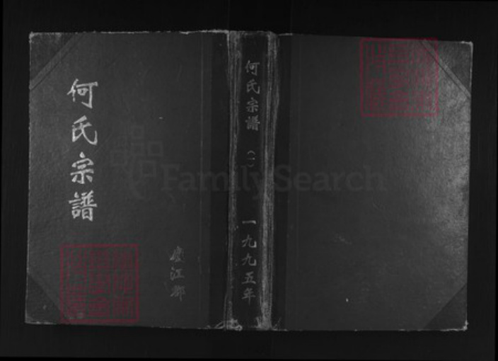 上海市金山区山阳镇何氏三高堂族谱-何氏宗谱.pdf电子版插图