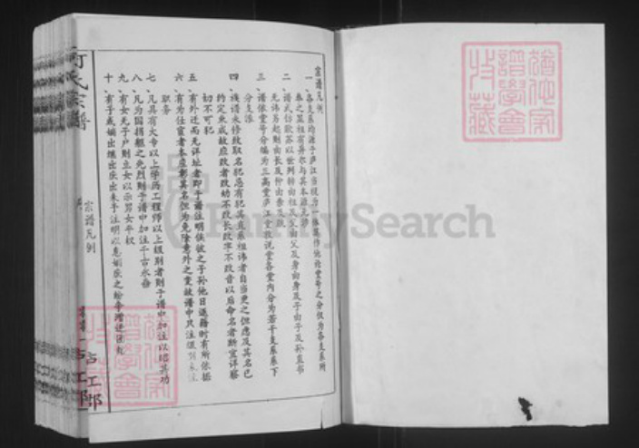 上海市金山区山阳镇何氏三高堂族谱-何氏宗谱.pdf电子版插图1