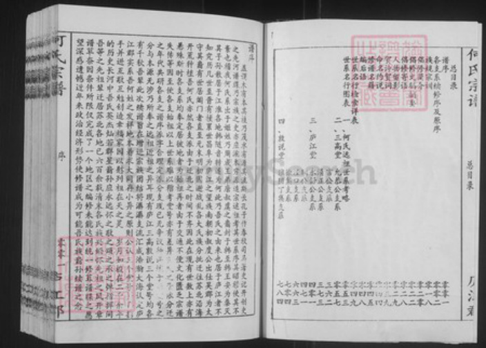 上海市金山区山阳镇何氏三高堂族谱-何氏宗谱.pdf电子版插图2