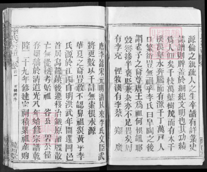 湖北省武汉市新洲区李氏陇西堂族谱-李氏宗谱.pdf电子版插图2