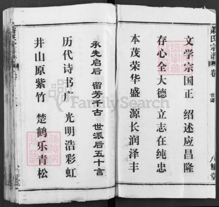 湖北省武汉市黄陂区萧氏八叶堂族谱-萧氏宗谱.pdf电子版插图2