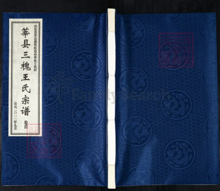 山东省聊城市莘县王氏三槐堂族谱-莘县三槐王氏宗谱.pdf电子版插图 山东省聊城市莘县王氏三槐堂族谱-莘县三槐王氏宗谱.pdf电子版插图