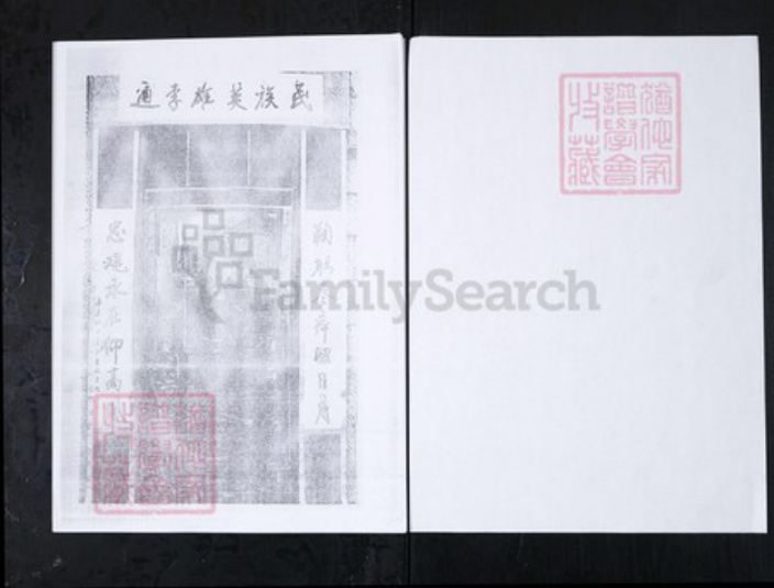 山东省泰安市新泰市李氏族谱-东蒙李氏族谱.续辑[6卷首1卷].pdf电子版插图1