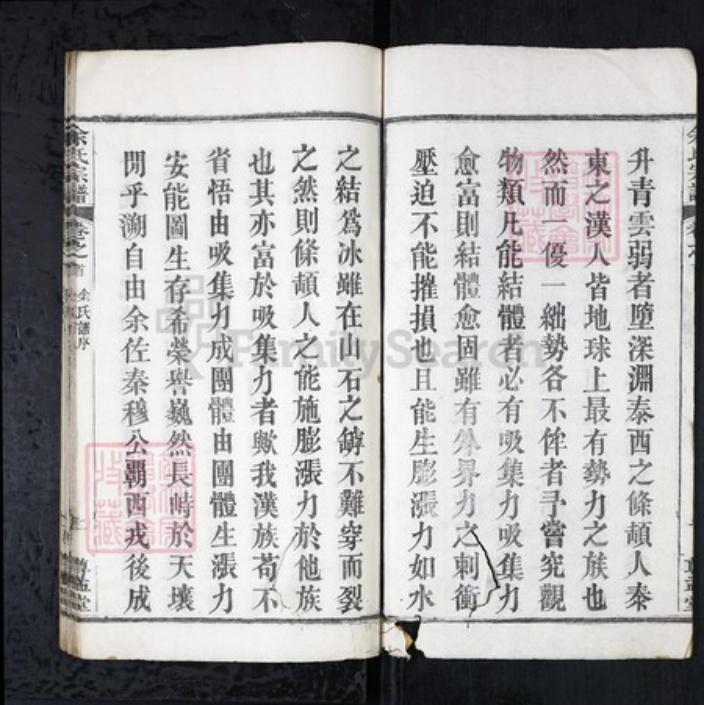 湖北省武汉市新洲区余氏族谱-余氏宗谱[4卷首1卷].pdf电子版插图2