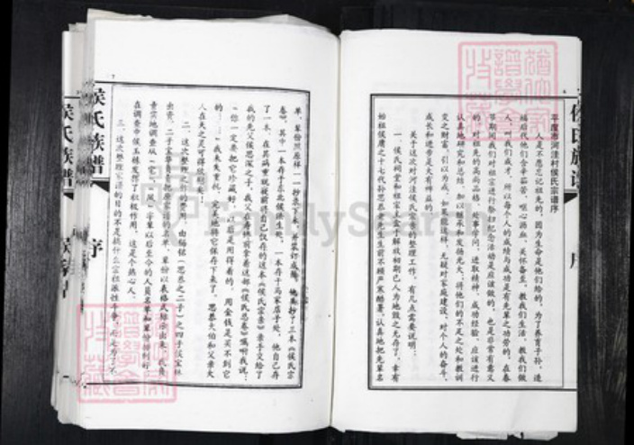 山东省青岛市平度市侯氏族谱-侯氏族谱.pdf电子版插图5