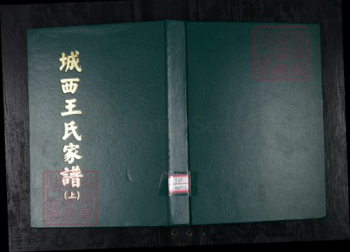 山东省青岛市王氏族谱-城西王氏家谱 山东青岛城西村.pdf电子版插图 山东省青岛市王氏族谱-城西王氏家谱 山东青岛城西村.pdf电子版插图