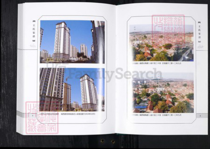 山东省青岛市王氏族谱-城西王氏家谱 山东青岛城西村.pdf电子版插图4 山东省青岛市王氏族谱-城西王氏家谱 山东青岛城西村.pdf电子版插图4