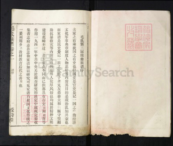 湖北省武汉市新洲区毛氏授诗堂族谱-毛氏族谱.pdf电子版插图2