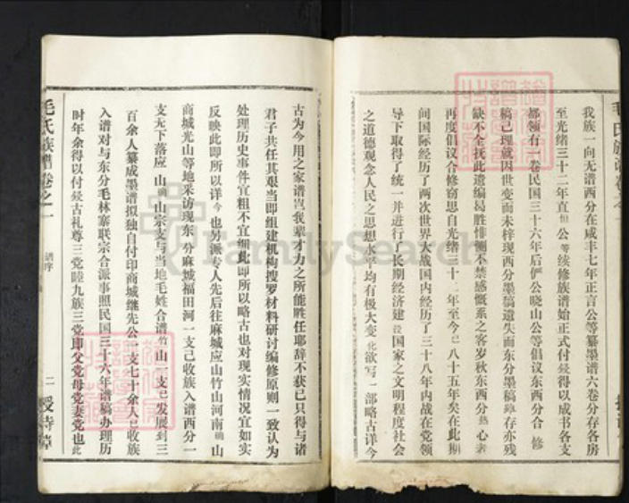 湖北省武汉市新洲区毛氏授诗堂族谱-毛氏族谱.pdf电子版插图3