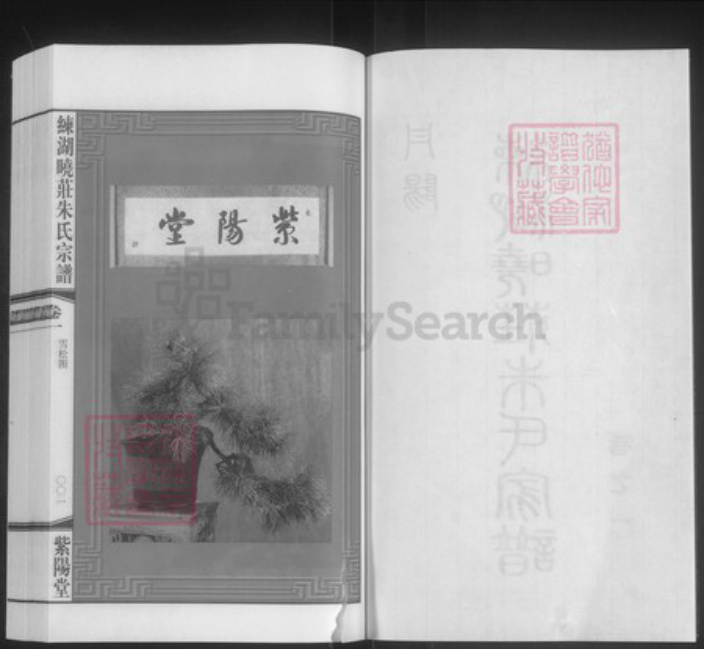 江苏省镇江市丹阳市云阳街道朱氏紫阳堂族谱-练湖晓庄朱氏家谱.pdf电子版插图3 江苏省镇江市丹阳市云阳街道朱氏紫阳堂族谱-练湖晓庄朱氏家谱.pdf电子版插图3