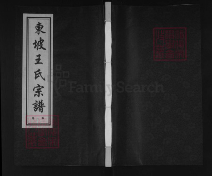 江苏省常州市溧阳市王氏德厚堂族谱-东坡王氏宗谱.pdf电子版插图