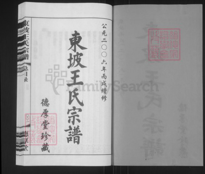 江苏省常州市溧阳市王氏德厚堂族谱-东坡王氏宗谱.pdf电子版插图2