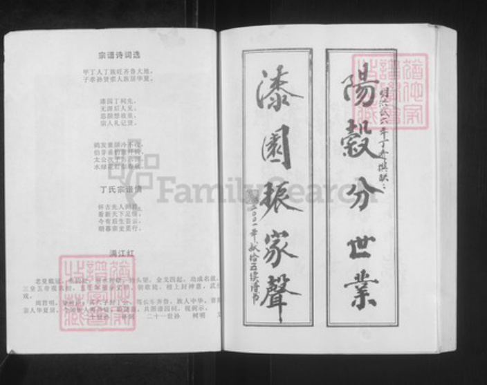 安徽省亳州市蒙城县安徽省亳州市蒙城县坛城镇丁氏亦政堂族谱-丁氏宗谱.pdf电子版插图2