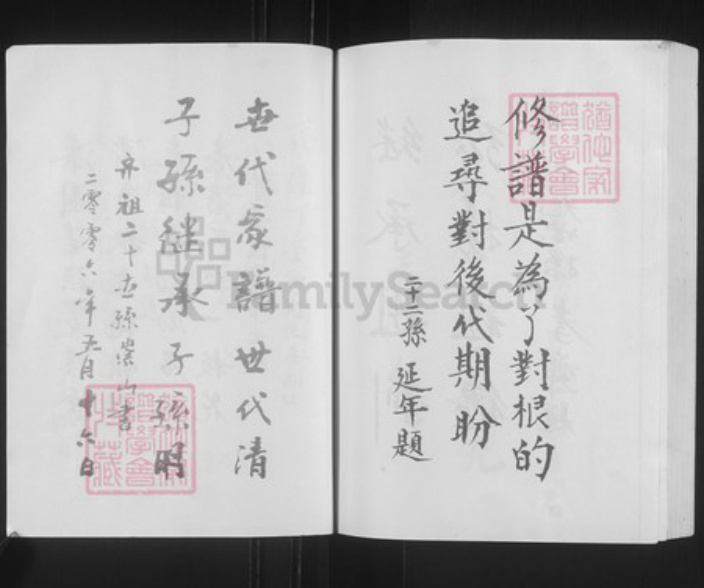 安徽省亳州市蒙城县安徽省亳州市蒙城县坛城镇丁氏亦政堂族谱-丁氏宗谱.pdf电子版插图4