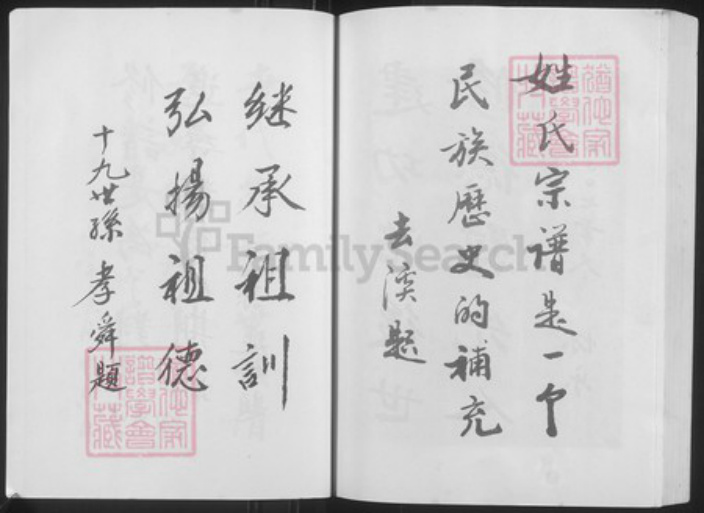 安徽省亳州市蒙城县安徽省亳州市蒙城县坛城镇丁氏亦政堂族谱-丁氏宗谱.pdf电子版插图5