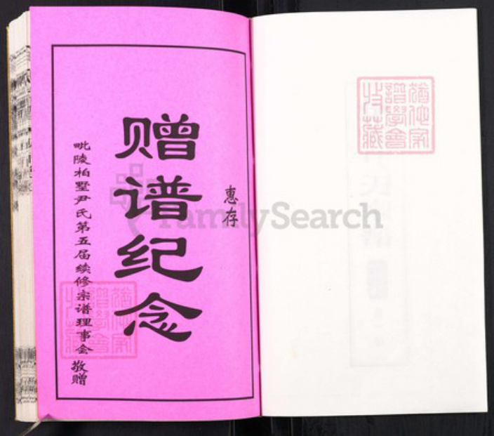 江苏省常州市天宁区尹氏承启堂族谱-毗陵尹氏宗谱.pdf电子版插图2