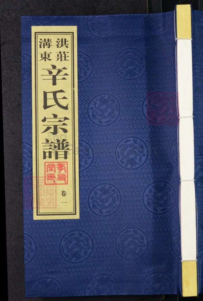 江苏省常州市武进县遥观镇辛氏孝友堂族谱-洪庄沟东辛氏宗谱.pdf电子版插图