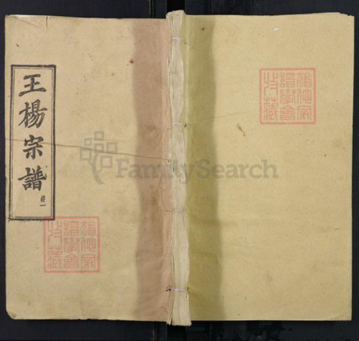 湖北省黄冈市浠水县散花镇王氏三槐堂族谱-王杨宗谱.pdf电子版插图