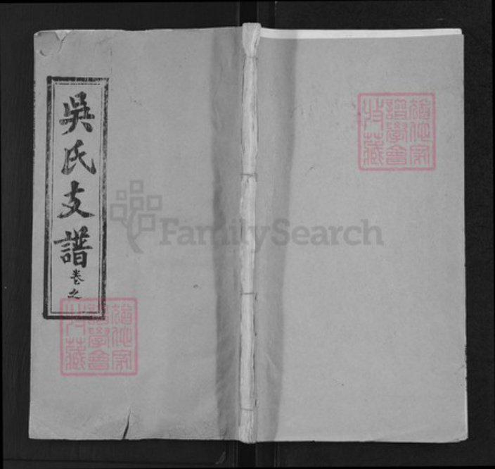 湖北省武汉市新洲区吴氏延陵堂族谱-吴氏支谱.pdf电子版插图