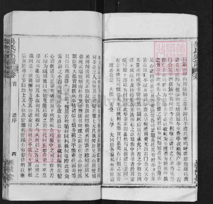 湖北省武汉市新洲区吴氏延陵堂族谱-吴氏支谱.pdf电子版插图4