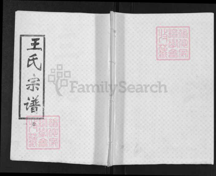 湖北省孝感市汉川市王氏三槐堂族谱-王氏宗谱.pdf电子版插图