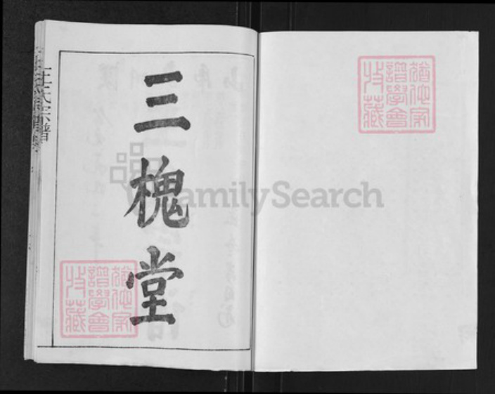 湖北省孝感市汉川市王氏三槐堂族谱-王氏宗谱.pdf电子版插图1