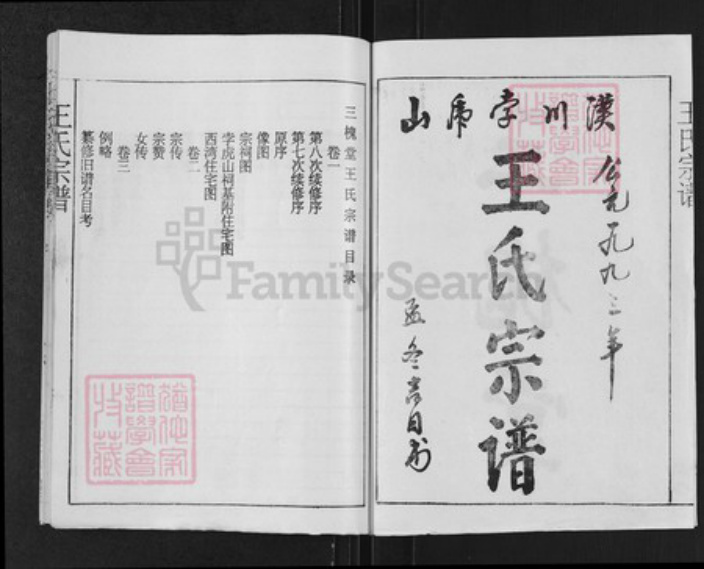 湖北省孝感市汉川市王氏三槐堂族谱-王氏宗谱.pdf电子版插图2