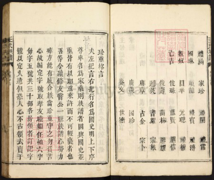 广东省湛江市遂溪县王氏族谱-王氏族谱.pdf电子版插图2
