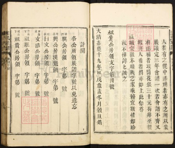 广东省湛江市遂溪县王氏族谱-王氏族谱.pdf电子版插图3