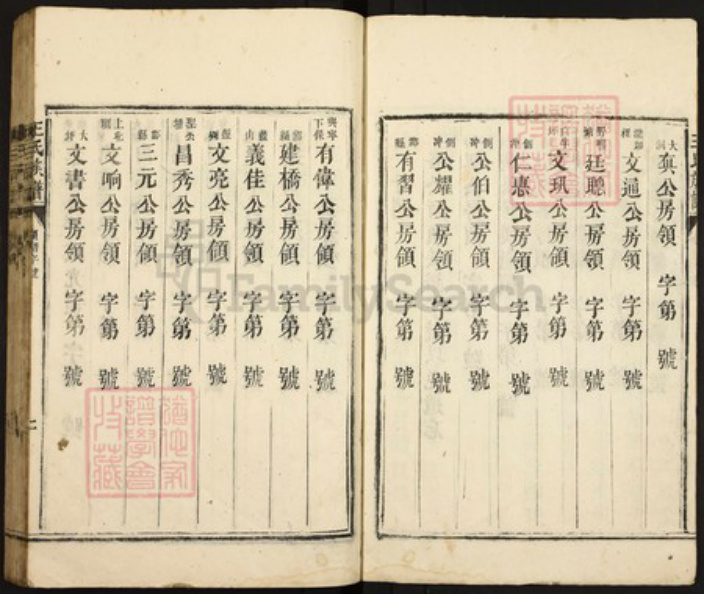 广东省湛江市遂溪县王氏族谱-王氏族谱.pdf电子版插图4