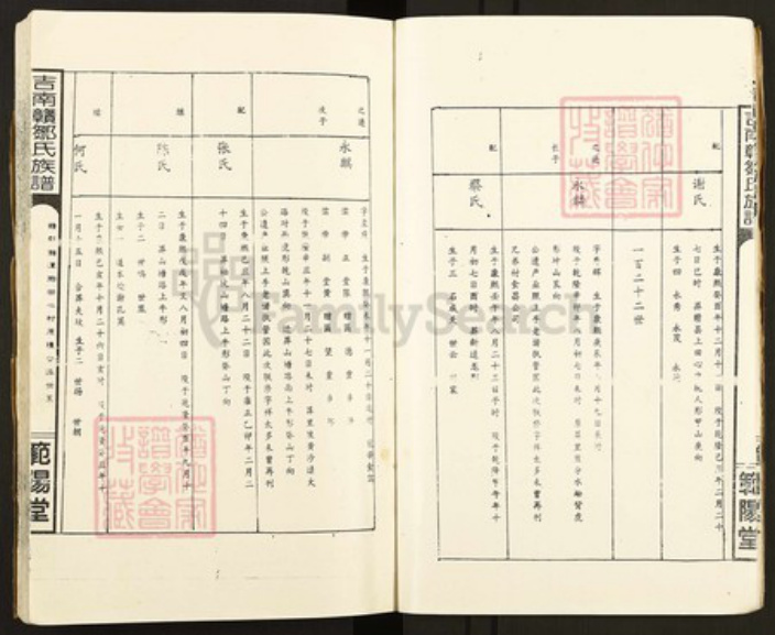 江西省邹氏范阳堂族谱-吉南赣邹氏族谱.pdf电子版插图4