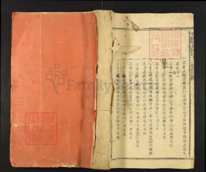 江西省赣州市石城县温氏族谱-石城联芳温氏十三修族谱.pdf电子版插图