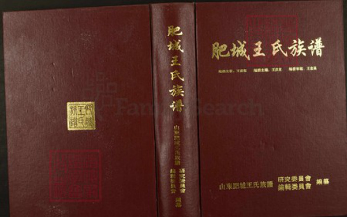 山东省泰安市肥城县王氏族谱-肥城王氏族谱.pdf电子版插图