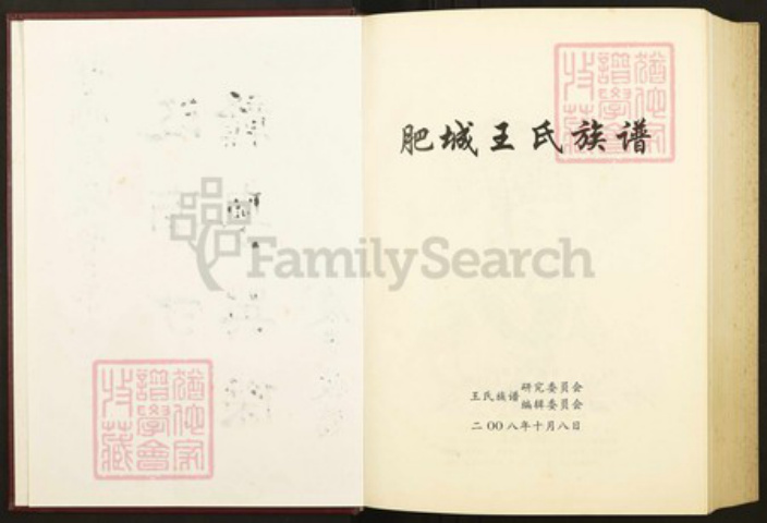 山东省泰安市肥城县王氏族谱-肥城王氏族谱.pdf电子版插图2