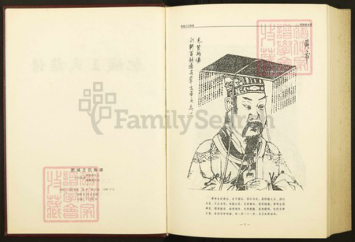 山东省泰安市肥城县王氏族谱-肥城王氏族谱.pdf电子版插图3