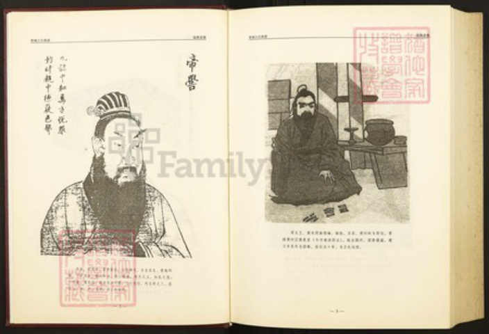 山东省泰安市肥城县王氏族谱-肥城王氏族谱.pdf电子版插图4