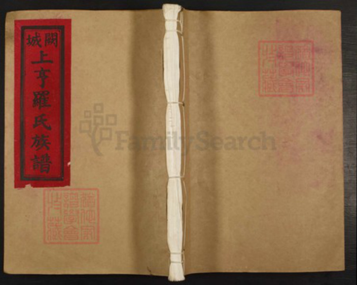 江西省吉安市泰和市罗氏族谱-阙城上亨罗氏族谱.pdf电子版插图
