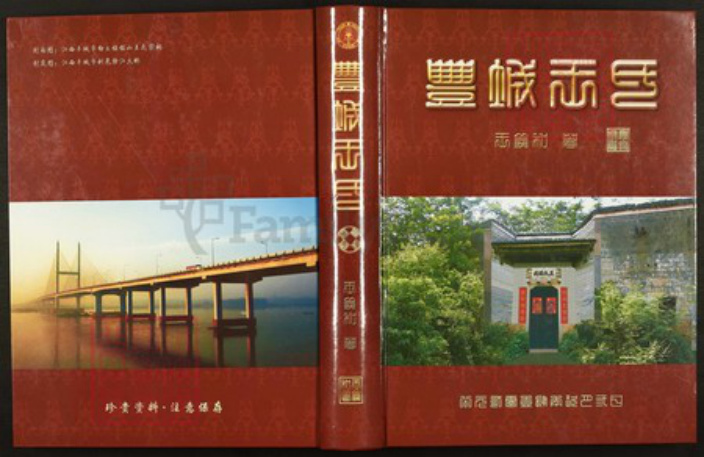 江西省宜春市丰城市王氏族谱-丰城王氏.pdf电子版插图