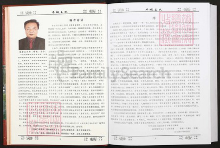 江西省宜春市丰城市王氏族谱-丰城王氏.pdf电子版插图2